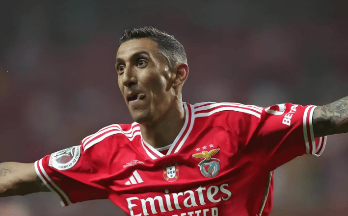 包含国王杯窗口期再迎强敌,本菲卡复出首秀,主帅态度——气氛紧张,年轻球员得到机会的词条 包含国王杯窗口期再迎强敌,本菲卡复出首秀,主帅态度——气氛紧张,年轻球员得到机会的词条